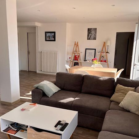 Residence Le Canal Strasbourg - Moderne Avec Parking Bischheim Esterno foto